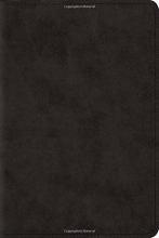 Cover art for ESV Reader's Bible (TruTone, Black)