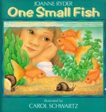Cover art for One Small Fish