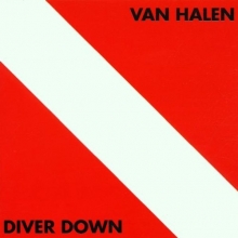 Cover art for Diver Down