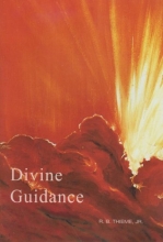 Cover art for Divine Guidance