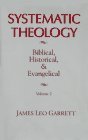 Cover art for Systematic Theology: Biblical, Historical, and Evangelical (Vol. 2)