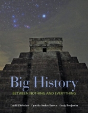 Cover art for Big History: Between Nothing and Everything