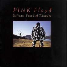 Cover art for Delicate Sound of Thunder