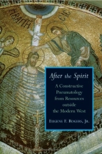 Cover art for After the Spirit (Radical Traditions)