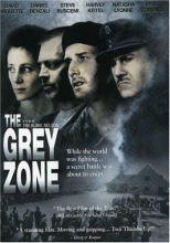 Cover art for The Grey Zone