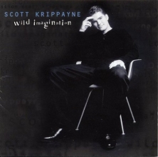 Cover art for Wild Imagination