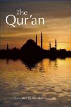 Cover art for The Qur'an A Guide and Mercy