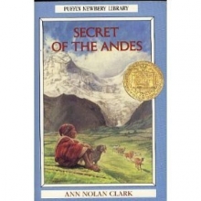 Cover art for The Secret of the Andes