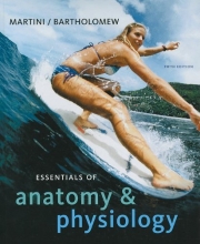Cover art for Essentials of Anatomy & Physiology (5th Edition)