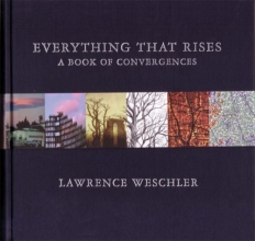 Cover art for Everything That Rises: A Book of Convergences