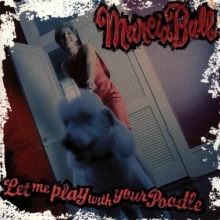 Cover art for Let Me Play With Your Poodle