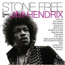 Cover art for Stone Free: Tribute to Jimi Hendrix