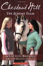 Cover art for The Scheme Team (Chestnut Hill, Book 5)