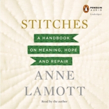Cover art for Stitches: A Handbook on Meaning, Hope and Repair
