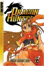 Cover art for Dragon Hunter Volume 12