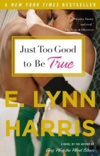Cover art for Just Too Good to Be True: A Novel