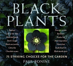 Cover art for Black Plants: 75 Striking Choices for the Garden