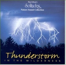 Cover art for Thunderstorm in the Wilderness