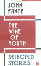 Cover art for The Wine of Youth: Selected Stories