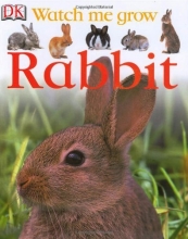 Cover art for Rabbit (Watch Me Grow)