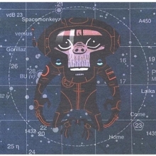 Cover art for Spacemonkeyz Vs. Gorillaz: Laika Come Home