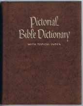 Cover art for Pictorial Bible Dictionary; with Topical Index