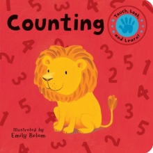 Cover art for Counting (Touch, Look, and Learn!)