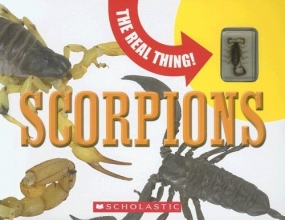 Cover art for Scorpions (Real Thing)