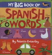 Cover art for My Big Book of Spanish Words