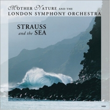 Cover art for Strauss and The Sea