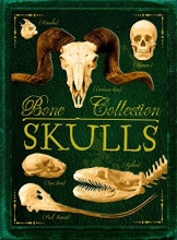 Cover art for Bone Collection: Skulls