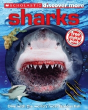Cover art for Scholastic Discover More: Sharks
