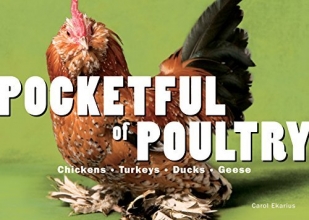 Cover art for Pocketful of Poultry