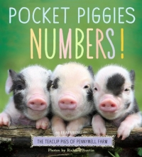 Cover art for Pocket Piggies Numbers!: Featuring the Teacup Pigs of Pennywell Farm