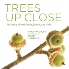 Cover art for Trees Up Close: The Beauty of Their Bark, Leaves, Flowers, and Seeds
