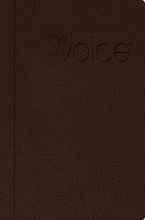 Cover art for The Voice Bible: Step Into the Story of Scripture