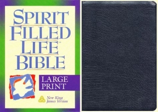 Cover art for Holy Bible: Spirit Filled Life Bible, New King James Version, Large Print, Black Bonded Leather