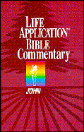 Cover art for John (Life Application Bible Commentary)