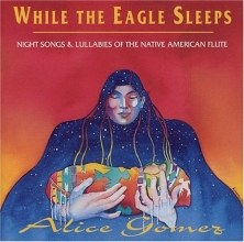 Cover art for While the Eagle Sleeps