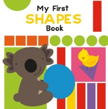 Cover art for My First Shapes Book