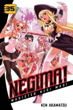 Cover art for Negima! 35