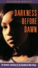 Cover art for Darkness Before Dawn