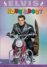 Cover art for Roustabout