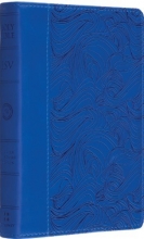 Cover art for ESV Compact Bible (TruTone, Deep Blue, Waves Design)