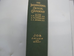 Cover art for Job (International Critical Commentary)