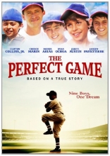 Cover art for The Perfect Game