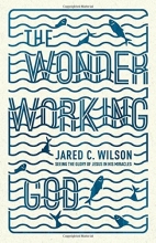 Cover art for The Wonder-Working God: Seeing the Glory of Jesus in His Miracles