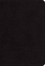Cover art for ESV Pocket New Testament with Psalms and Proverbs (Black)