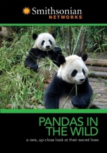Cover art for Pandas in the Wild