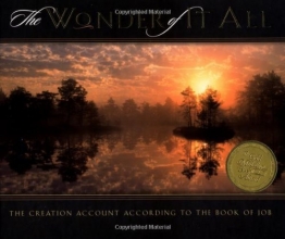 Cover art for The Wonder of It All